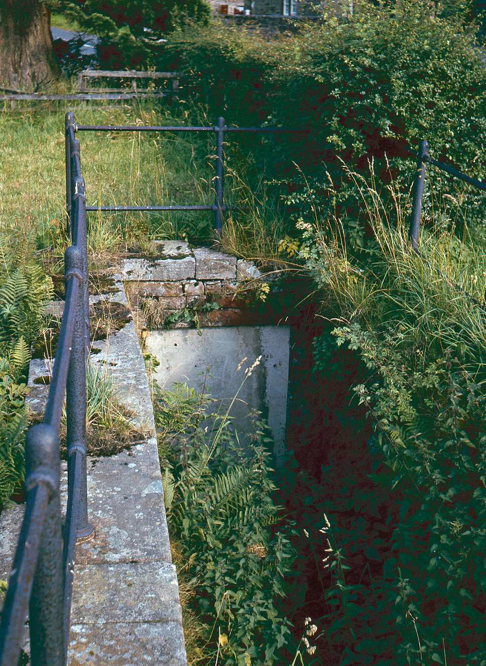 Portal of horse track Allenheads 1971